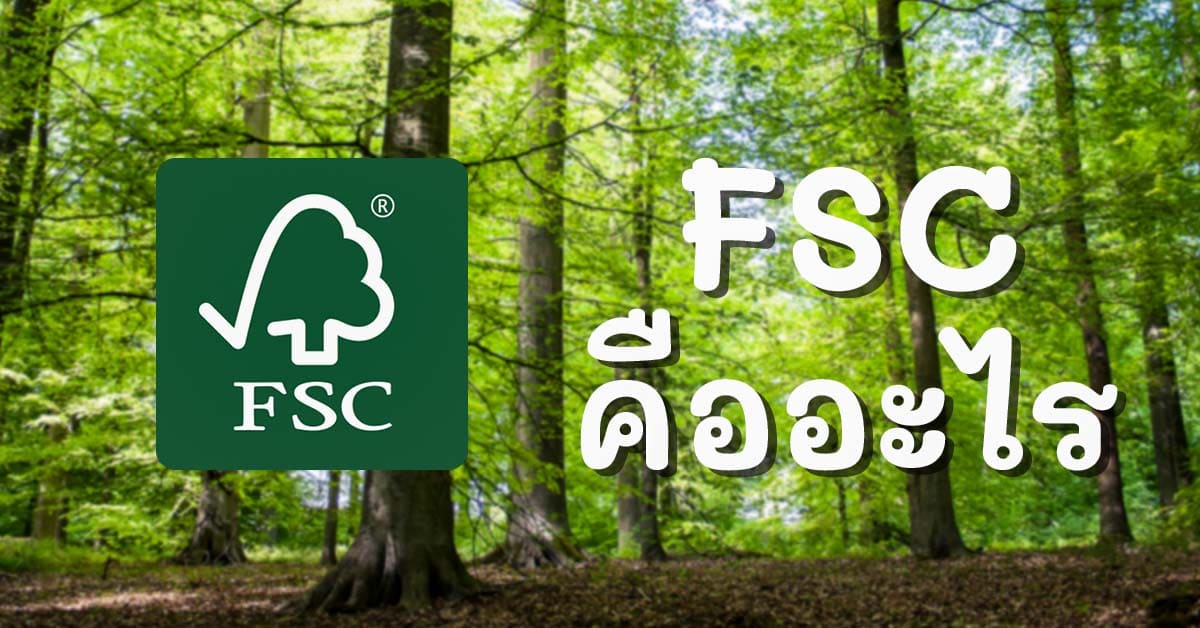 fsc-misc-store